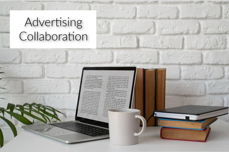 Monetización del blog de su libro: desde programas de afiliados hasta colaboración con anunciantes