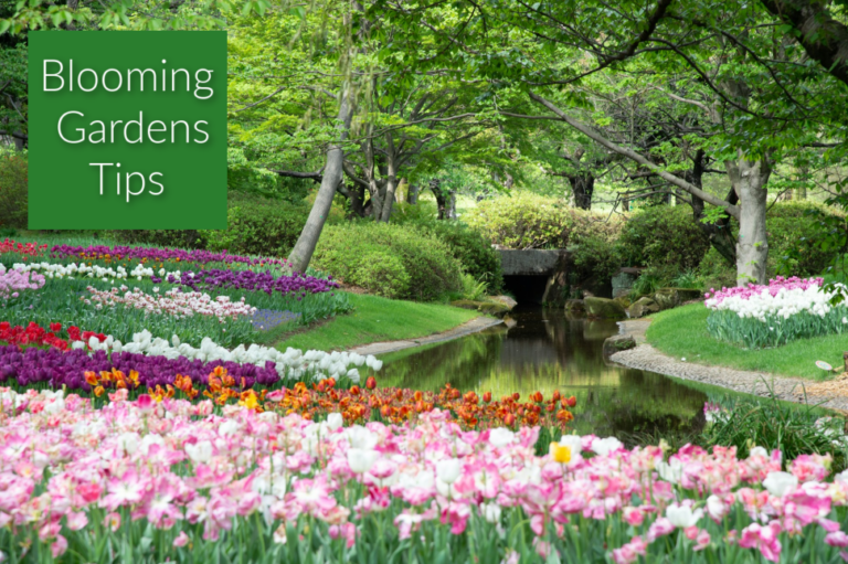 Fertilizante para flores: los secretos de Metrop para jardines florecientes