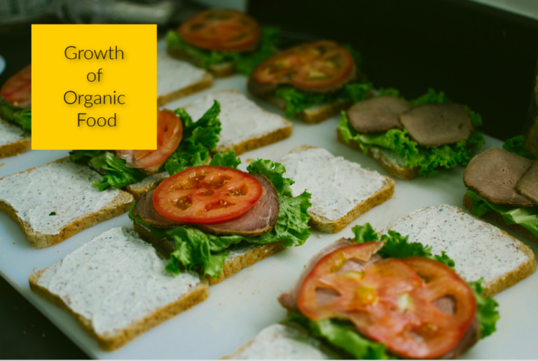 Explorando el crecimiento continuo de la industria de alimentos y bebidas orgánicos