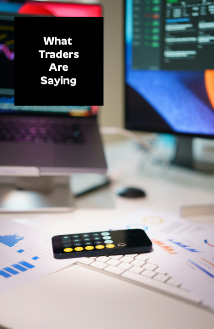 Reseñas de DotBig: lo que dicen los comerciantes